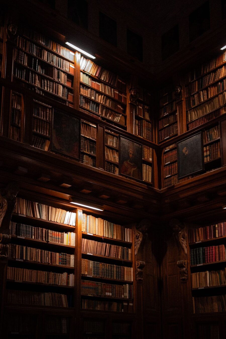 A quiet library of bound volumes on dark wooden shelves.